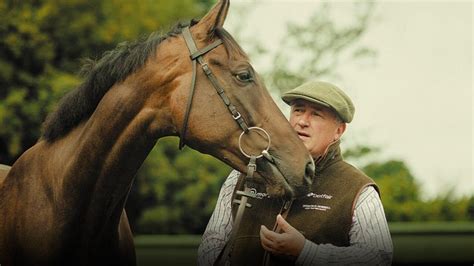 ambassador bet|Betfair Ambassadors .